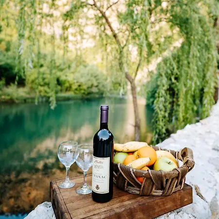 Villa Vrelo Oasis *